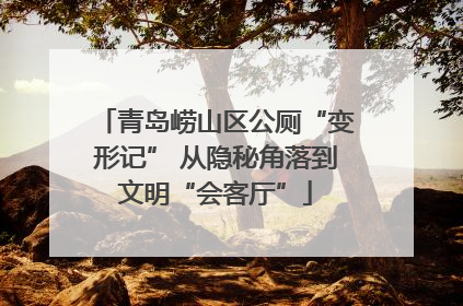 青岛崂山区公厕“变形记” 从隐秘角落到文明“会客厅”