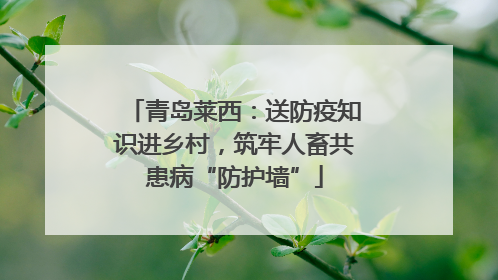 青岛莱西：送防疫知识进乡村，筑牢人畜共患病“防护墙”