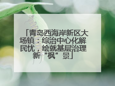 青岛西海岸新区大场镇：综治中心化解民忧，绘就基层治理新“枫”景