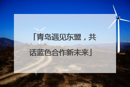 青岛遇见东盟，共话蓝色合作新未来