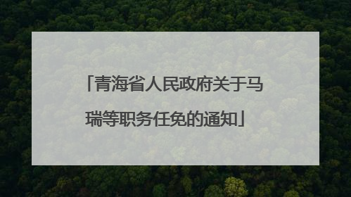 青海省人民政府关于马瑞等职务任免的通知