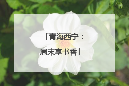 青海西宁：周末享书香