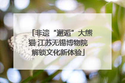 非遗“邂逅”大熊猫 江苏无锡博物院解锁文化新体验
