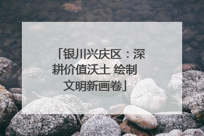 银川兴庆区：深耕价值沃土 绘制文明新画卷