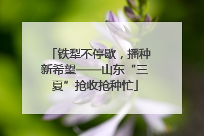 铁犁不停歇，播种新希望——山东“三夏”抢收抢种忙