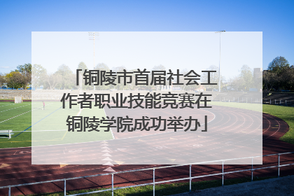 铜陵市首届社会工作者职业技能竞赛在铜陵学院成功举办