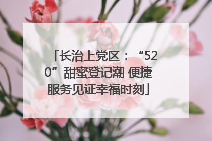 长治上党区：“520”甜蜜登记潮 便捷服务见证幸福时刻