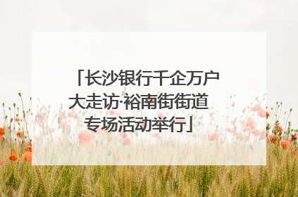 长沙银行千企万户大走访·裕南街街道专场活动举行