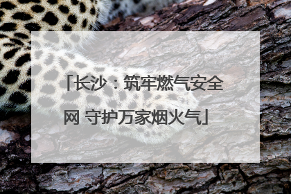 长沙：筑牢燃气安全网 守护万家烟火气