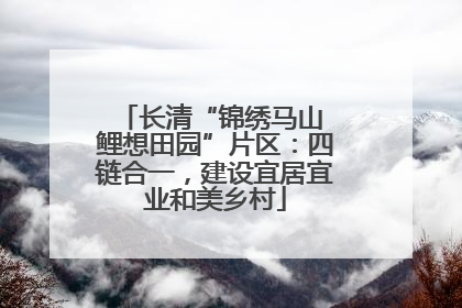 长清“锦绣马山 鲤想田园”片区：四链合一，建设宜居宜业和美乡村