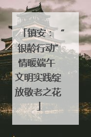 镇安：“银龄行动”情暖端午 文明实践绽放敬老之花