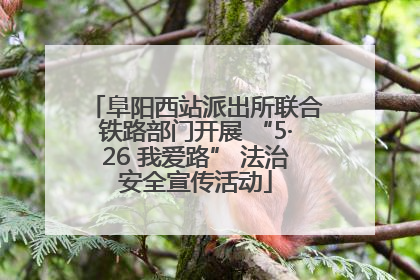 阜阳西站派出所联合铁路部门开展 “5·26 我爱路” 法治安全宣传活动