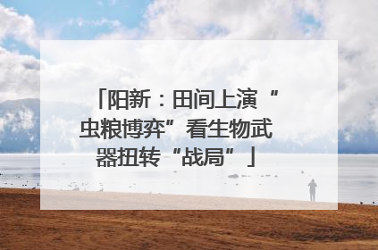 阳新：田间上演“虫粮博弈”看生物武器扭转“战局”