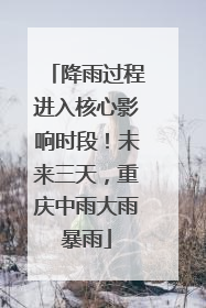 降雨过程进入核心影响时段！未来三天，重庆中雨大雨暴雨