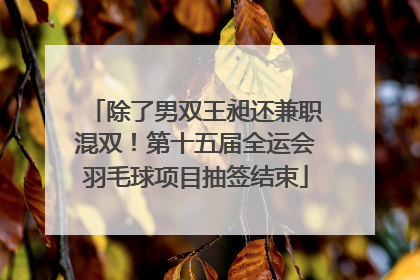 除了男双王昶还兼职混双！第十五届全运会羽毛球项目抽签结束
