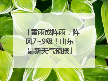 雷雨或阵雨，阵风7~9级！山东最新天气预报