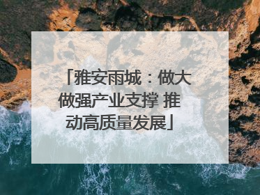 雅安雨城：做大做强产业支撑 推动高质量发展
