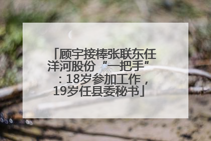 顾宇接棒张联东任洋河股份“一把手”：18岁参加工作，19岁任县委秘书