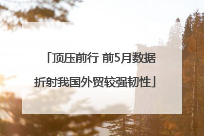 顶压前行 前5月数据折射我国外贸较强韧性