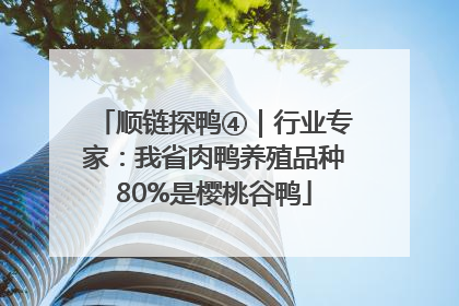顺链探鸭④｜行业专家：我省肉鸭养殖品种80%是樱桃谷鸭
