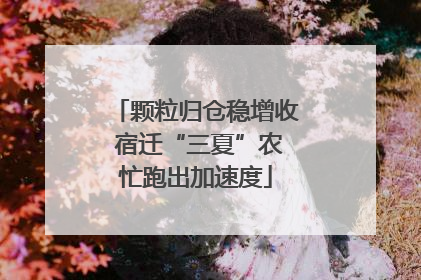 颗粒归仓稳增收 宿迁“三夏”农忙跑出加速度