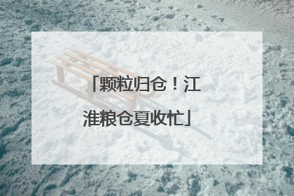 颗粒归仓！江淮粮仓夏收忙