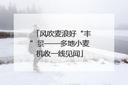 风吹麦浪好“丰”景——多地小麦机收一线见闻