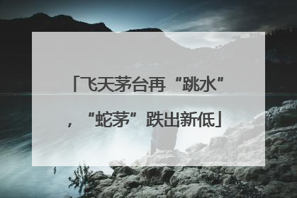 飞天茅台再“跳水”，“蛇茅”跌出新低