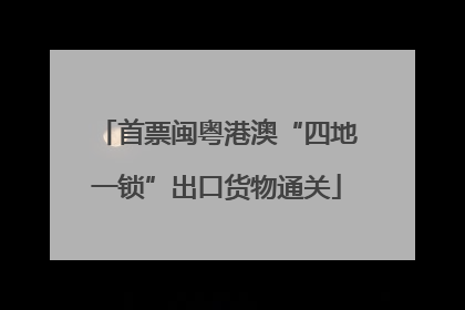 首票闽粤港澳“四地一锁”出口货物通关