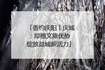 香约庆阳丨庆城：厚植文旅优势 绽放县域新活力