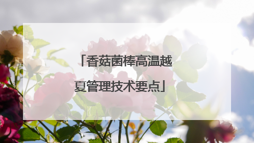 香菇菌棒高温越夏管理技术要点