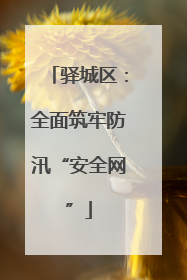 驿城区：全面筑牢防汛“安全网”