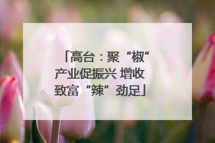 高台：聚“椒”产业促振兴 增收致富“辣”劲足