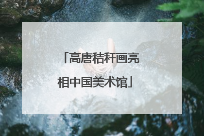 高唐秸秆画亮相中国美术馆