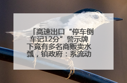 高速出口“停车倒车记12分”警示牌下竟有多名商贩卖水瓢，镇政府：系流动摊位，已多次劝离