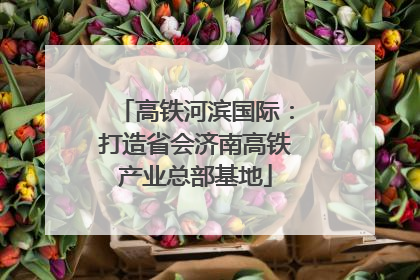 高铁河滨国际：打造省会济南高铁产业总部基地