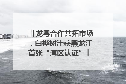 龙粤合作共拓市场，白桦树汁获黑龙江首张“湾区认证”