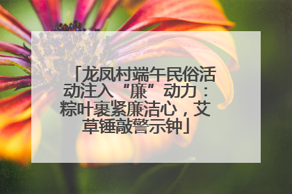 龙凤村端午民俗活动注入“廉”动力：粽叶裹紧廉洁心，艾草锤敲警示钟