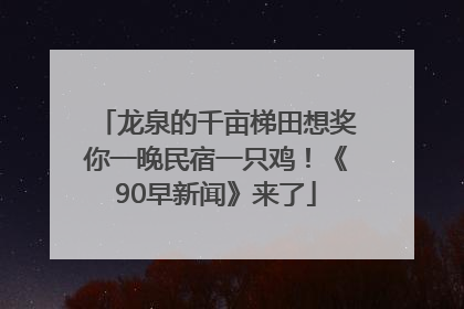 龙泉的千亩梯田想奖你一晚民宿一只鸡！《90早新闻》来了