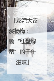 龙湾大岙溪杨梅：一颗“红盘绿蒂”的千年滋味