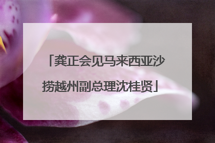 龚正会见马来西亚沙捞越州副总理沈桂贤