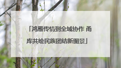 鸿雁传情到全域协作 甬库共绘民族团结新图景