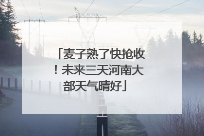 麦子熟了快抢收！未来三天河南大部天气晴好