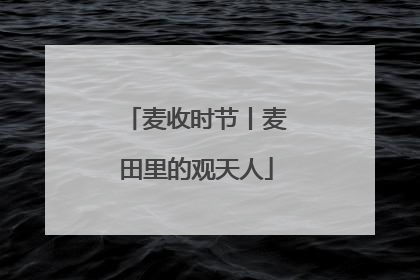 麦收时节丨麦田里的观天人