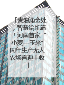 麦浪涌金处，智慧绘新篇！河南首家“小麦—玉米”周年生产无人农场喜迎丰收