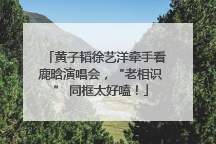 黄子韬徐艺洋牵手看鹿晗演唱会，“老相识” 同框太好嗑！