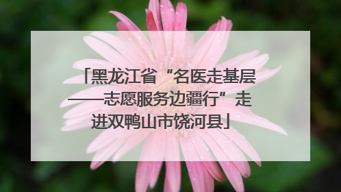 黑龙江省“名医走基层——志愿服务边疆行”走进双鸭山市饶河县