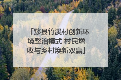 黟县竹溪村创新环境整治模式 村民增收与乡村焕新双赢