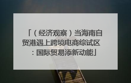 （经济观察）当海南自贸港遇上跨境电商综试区：国际贸易添新动能