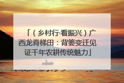（乡村行·看振兴）广西龙脊梯田：背篓变迁见证千年农耕传统魅力